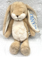 Load image into Gallery viewer, Little Nibbles Plush Bunny